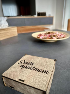 South Apartmani